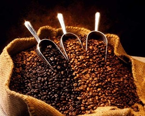 Costa Rica SHB Ep Tarrazu La Pastora Coffee Beans